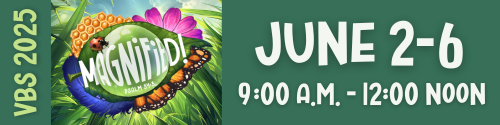 VBS_2025_-_article.png